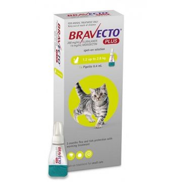 BRAVECTO PLUS SPOT ON CAT 112.5 MG (1.2 - 2.8 KG) - 1 PIPETA