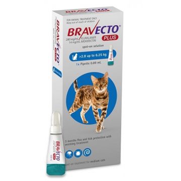 BRAVECTO PLUS SPOT ON CAT 250 MG (2.8 - 6.25 KG) -  1 PIPETA