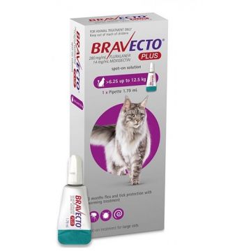 BRAVECTO PLUS SPOT ON CAT 500 MG (6.25 - 12.5 KG) -  1 PIPETA