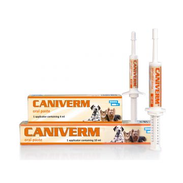 CANIVERM PASTA ORALA CAINE SI PISICA - SERINGA 10 ML​