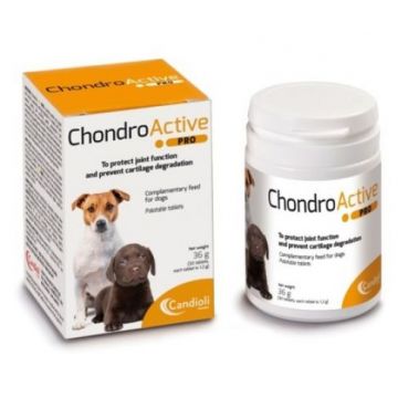 CHONDRO ACTIVE PRO - 30 TABLETE