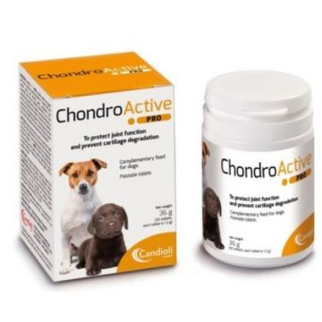 CHONDRO ACTIVE PRO - 90 TABLETE