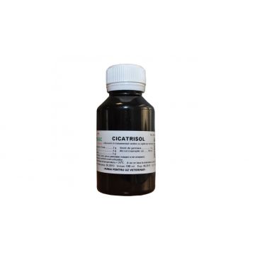 CICATRISOL 100 ML