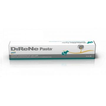 DIRENE PASTA - 15 ML