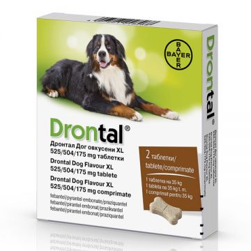 Drontal Dog Flavour XL 525/504/175 mg x 2 Tablete - 1 cutie