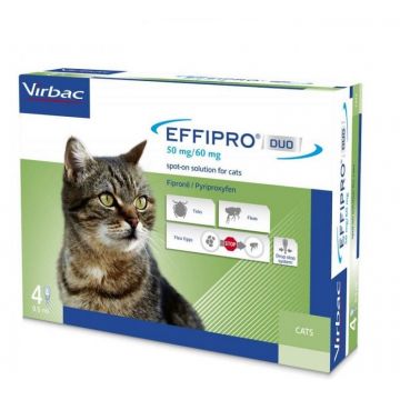 EFFIPRO DUO CAT PISICA - 4 PIPETE