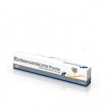 ENTEROMICRO - PASTA 15 ML