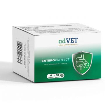 ENTEROPROTECT - 60 CAPSULE