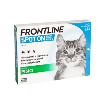 Frontline Spot On Cat Pisica - 3 PIPETE