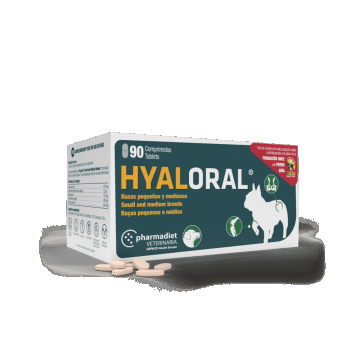 Hyaloral Small & Medium Breed - 90 tablete