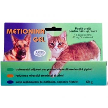 Metionina Gel - 60 g