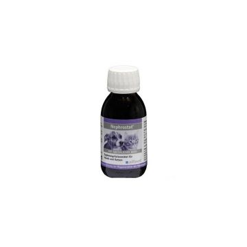 Nephrostat 100ml Alfavet