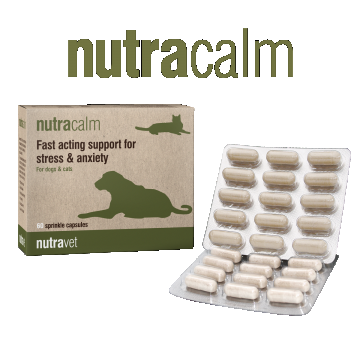 Nutracalm – 15 Capsule ( NUTRAZYL)