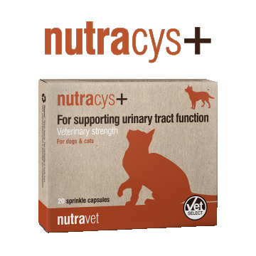 Nutracys + - 20 Capsule ( NUTRAEASE)