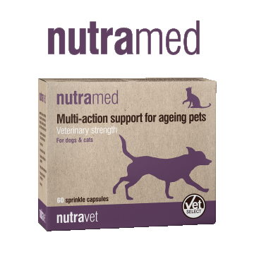 Nutramed – sprijin veterinar cu acțiune multiplă pentru animalele de companie în vârstă