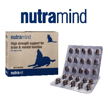 Nutramind – 45 capsule ( NUTRAMEDIC )