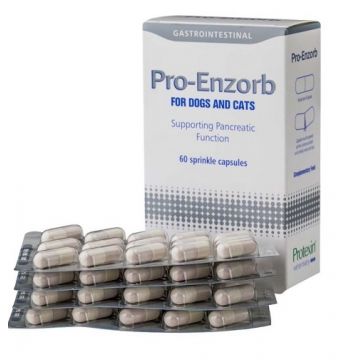 PROTEXIN PRO-ENZORB -  60 CAPSULE