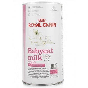 ROYAL CANIN BABYCAT MILK 300G - LAPTE PRAF PUI PISICA