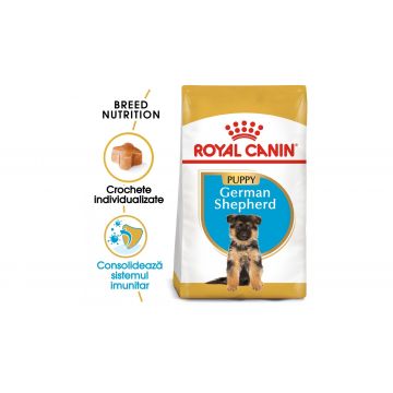 Royal Canin German Shepherd Puppy hrana uscata caine junior Ciobanesc German - 12 kg