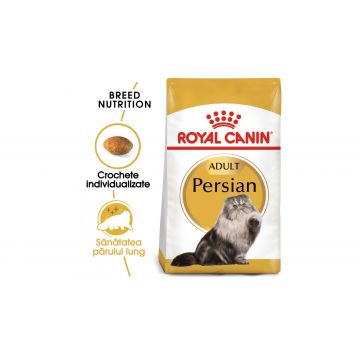 Royal Canin Persian Adult hrana uscata pisica - 10 kg