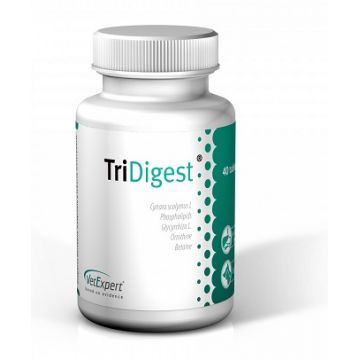 TRIDIGEST - 40 TABLETE