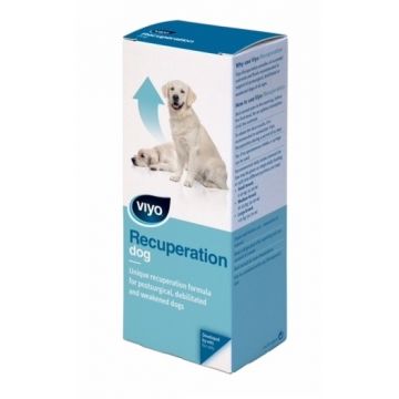 VIYO RECUPERATION DOG - 150 ML