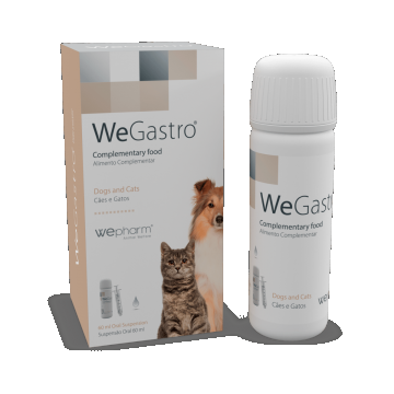 WEGASTRO - 60 ML