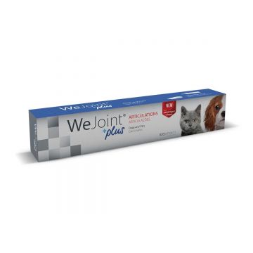 WeJoint Plus Pasta, supliment nutritiv, tub x 30 ml