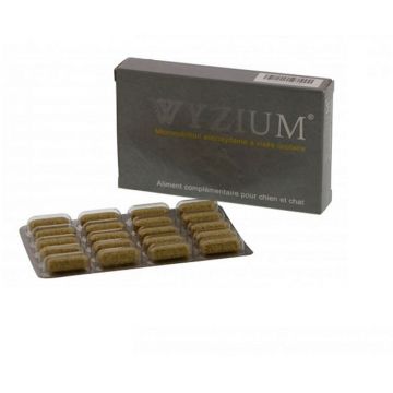 WYZIUM - 40 COMPRIMATE