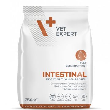 4T DIETA VETERINARA INTESTINAL CAT, VETEXPERT, 250G