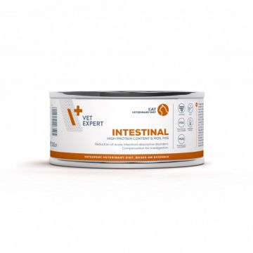 4T DIETA VETERINARA PISICI INTESTINAL CAT VETEXPERT CONSERVA - 100G