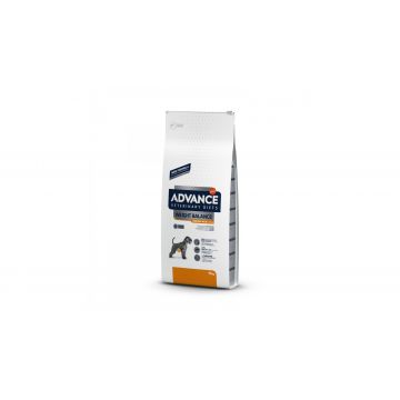 Advance Cat Weight Balance - 1.5 kg