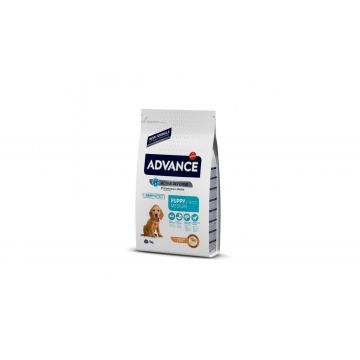 Advance Dog Medium Puppy Protect - 12 kg