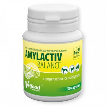 AMYLACTIV BALANCE - 30 CAPSULE