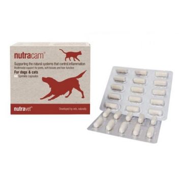 Nutravet Nutraflora - 12 comprimate