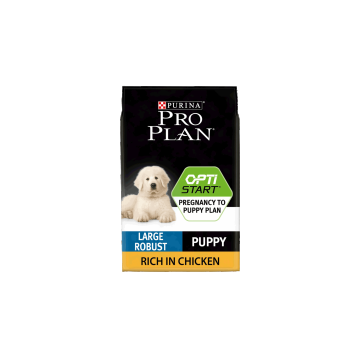 PRO PLAN Dog, Large Robust Puppy OPTISTART Chicken - 12 kg