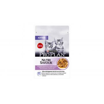 PRO PLAN Kitten NUTRISAVOUR Turkey in Gravy, 85 g