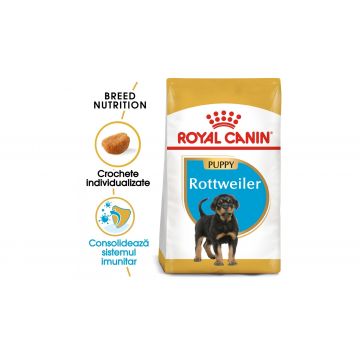 Royal Canin Rottweiler Puppy hrana uscata caine junior - 12 kg