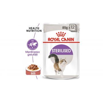 Royal Canin Sterilised Adult hrana umeda pisica sterilizata (in sos - 12 x 85 g