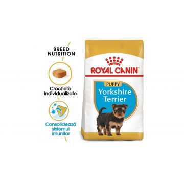 Royal Canin Yorkshire Puppy hrana uscata caine junior - 500 g