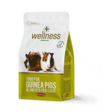 Wellness G-Pig - 1 kg