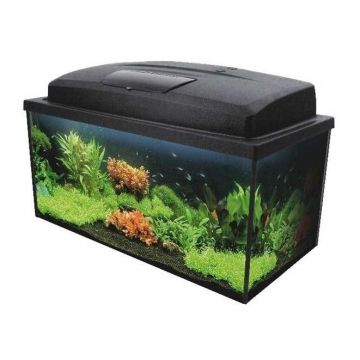 AQUA SZUT Acvariu complet AQUA 4 FAMILY dreptunghiular 80x35x40cm,1x24W T5, 112L