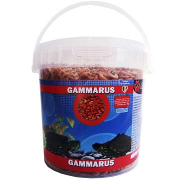 Exo Gammarus, 1000 ml