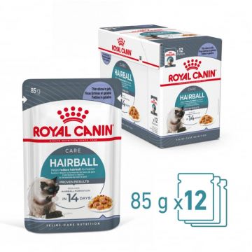 Royal Canin Hairball Care Jelly plic aspic, 12 x 85 g