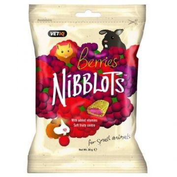 Snack pentru rozatoare cu fructe de padure Vetiq Nibblots, 30 g