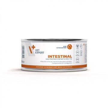 4T Intestinal Cat Conserva 100 g, VetExpert