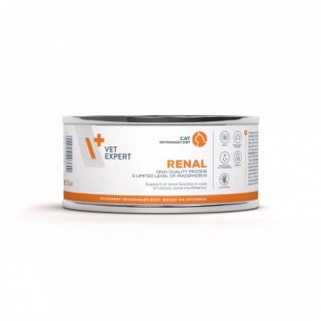 4T Renal Cat Conserva 100 g