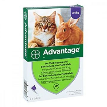 Advantage 80 Pisica Iepure peste 4 kg - 1 Pipeta, Advantage