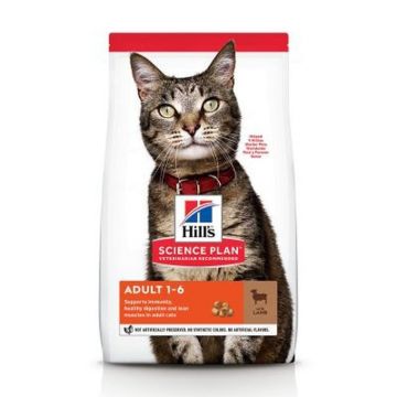 Hills SP Feline Cu Miel Si Orez 10 kg