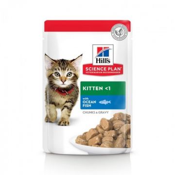 Hills SP Feline Kitten cu Peste Oceanic 85 g